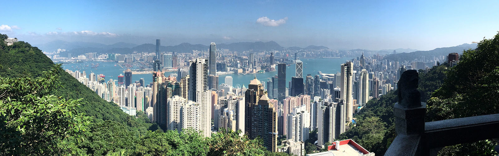 The skyline of Hong Kong as seen from the top of a lush, green mountain, with a river and many skyscrapers in the background. 